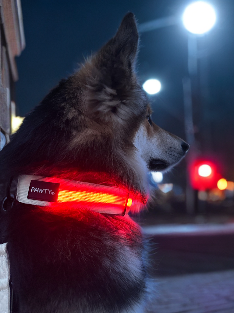 Safe Glow Halsband